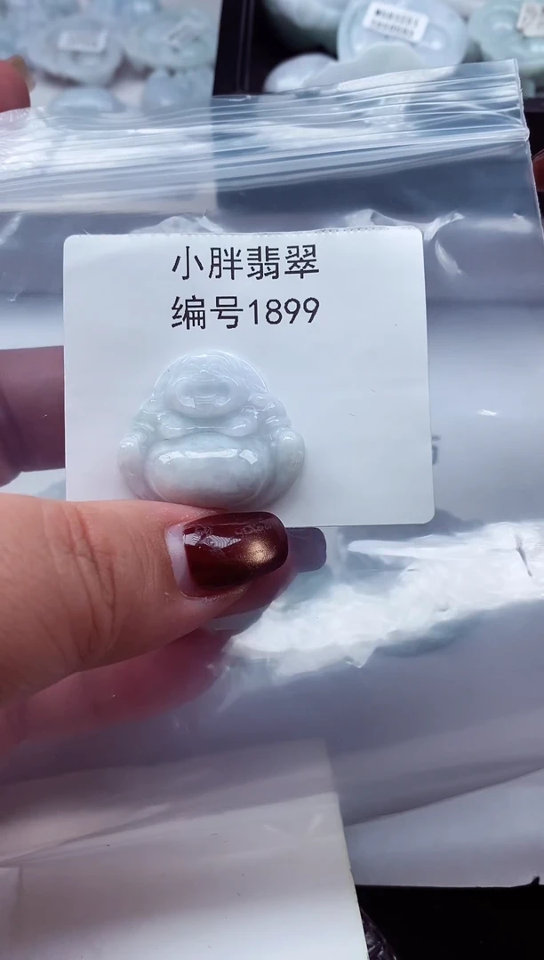 颈饰未镶嵌翡翠缅甸天然A货翡翠1899