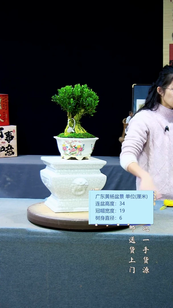 【闪购商品】高端黄杨盆景高端黄杨盆景