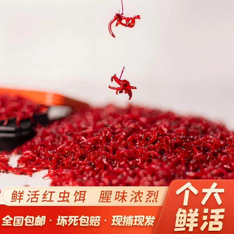 【春节倒计时！全面让利】  鲜活红虫！死虫包赔全国1-2天到货!29