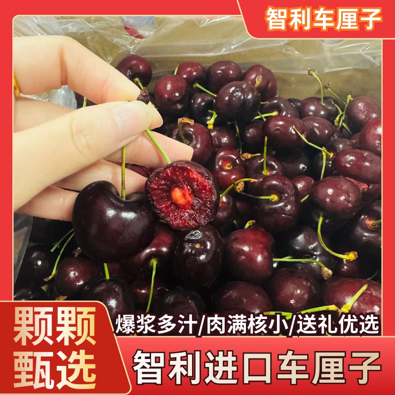 【桑提娜】【2JD】500g智利海运车厘子吃几斤拍几斤到店自提硬脆多汁 桑提娜智利