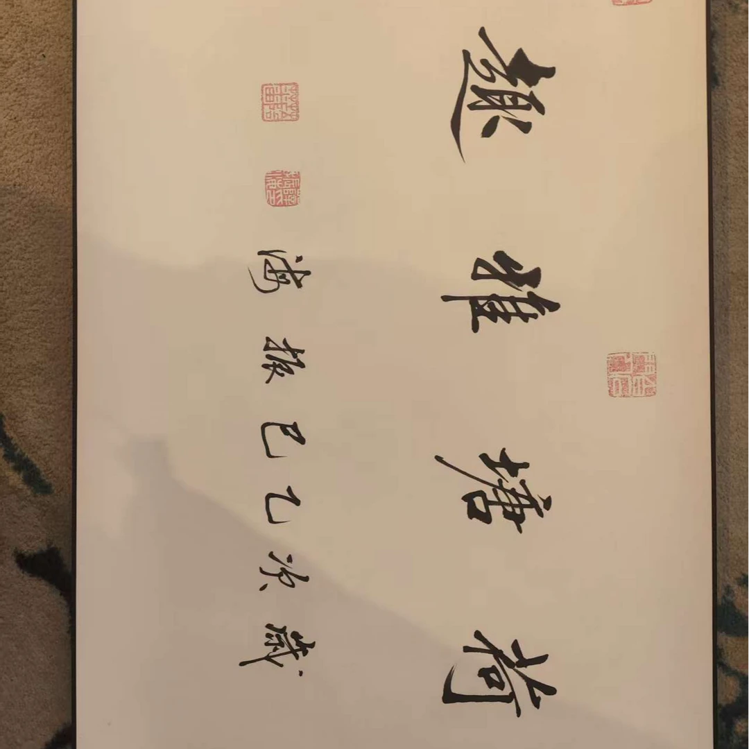 薛振海作品 荷塘雅趣  五米长卷