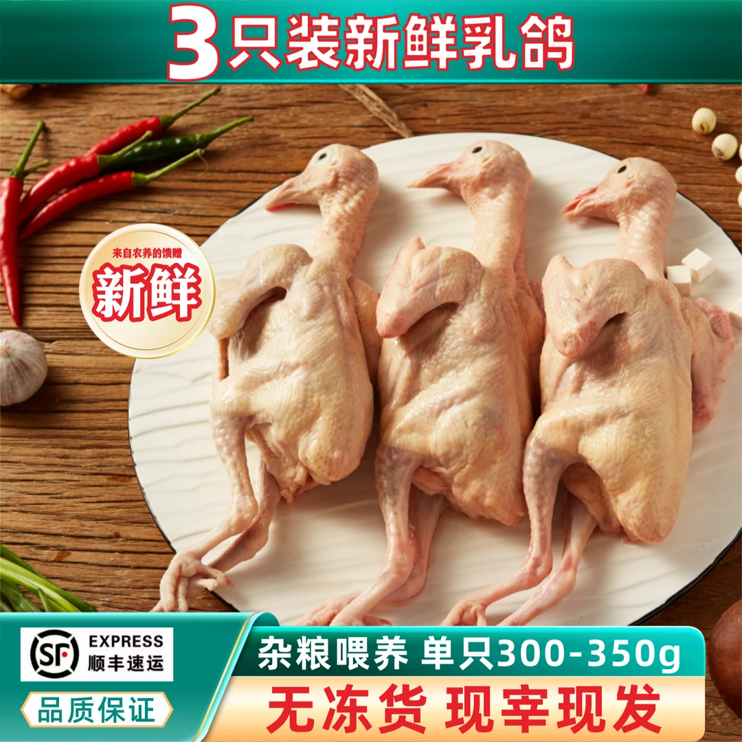 苏韵鸽语3只装乳鸽新鲜现杀土鸽子养杂粮鸽子肉脆皮乳鸽鸽子汤