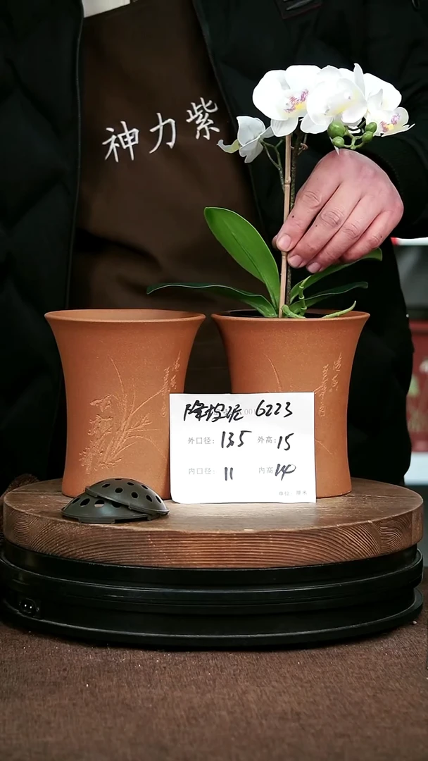 紫砂花盆花卉园艺6223