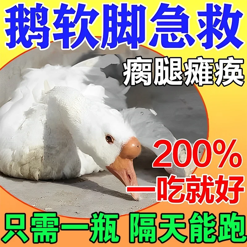 鹅浆膜炎鹅软脚腿瘸痛风瘫痪鸡鸭鹅救命液双腿无力腿软急救隔天跑