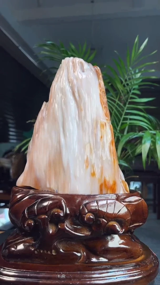 未镶嵌硅化玉（树化玉）珠宝奇石钢*2221号