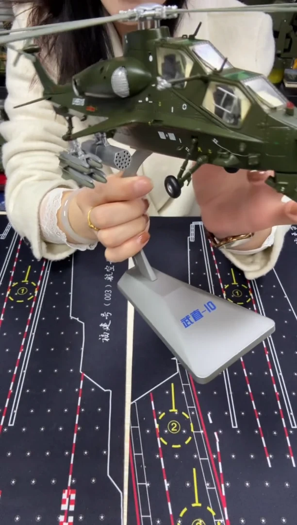 1/48直10飞机模型