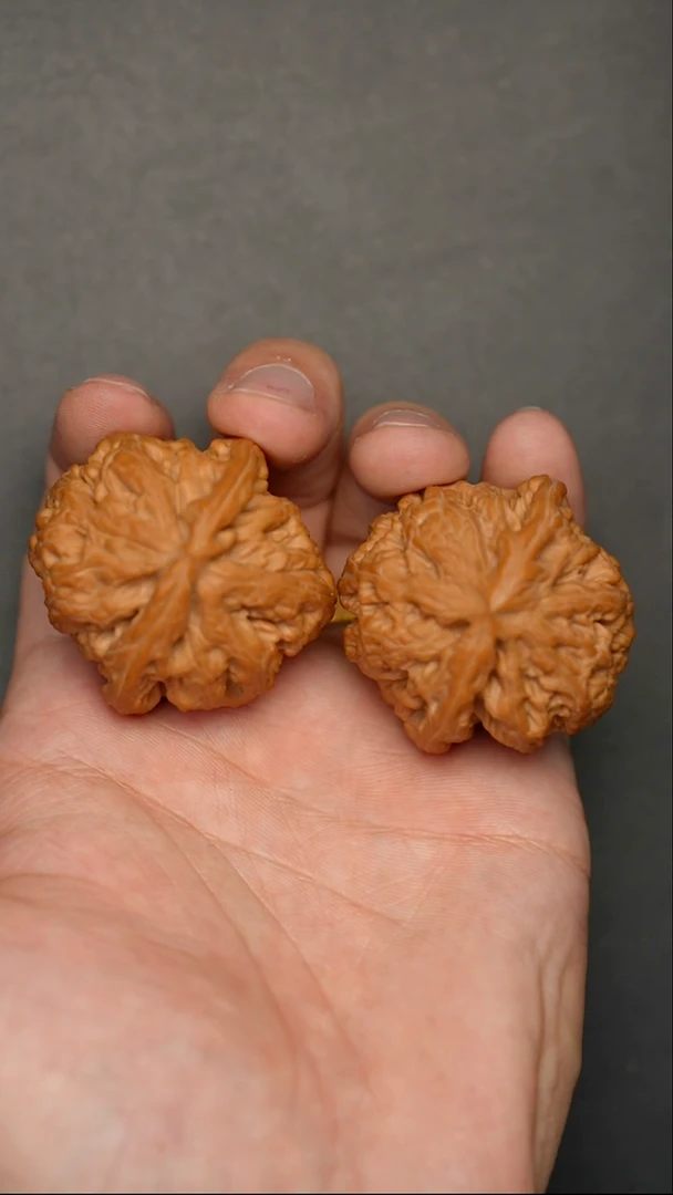 把件文玩核桃全品大粗筋41