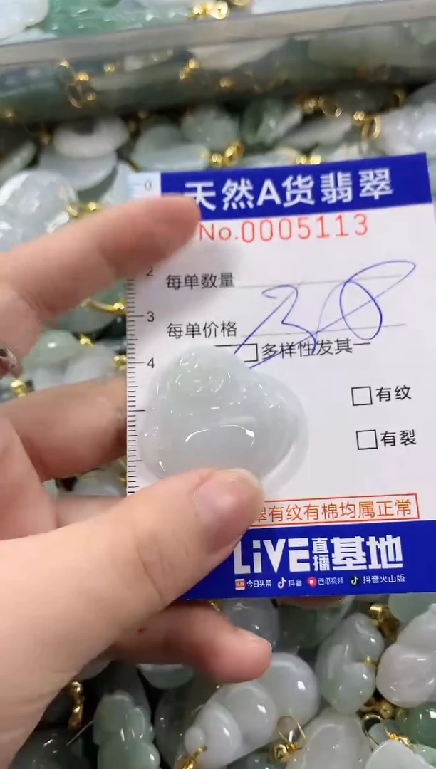 颈饰未镶嵌翡翠天然A货翡翠