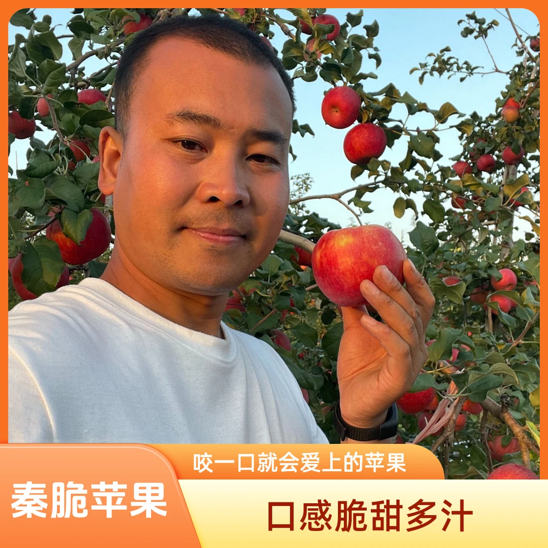（顺丰）陕西秦脆苹果 苹果中的爱马仕 特别脆特别甜