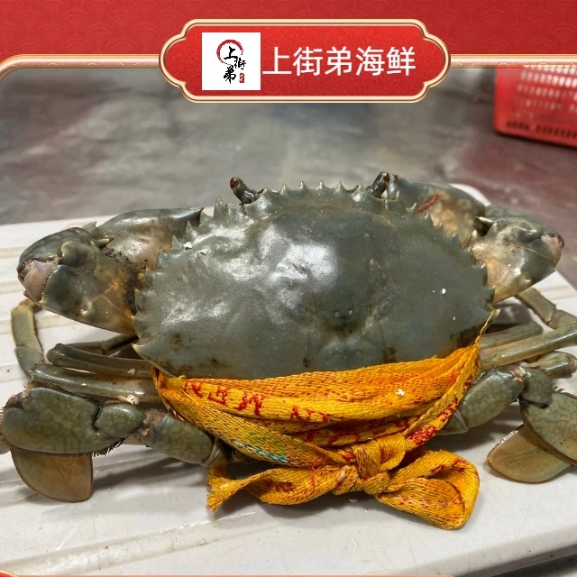 【浙江青蟹】上街弟推荐 肉多肥美 肉质鲜嫩介意绳子勿拍包鲜不包活