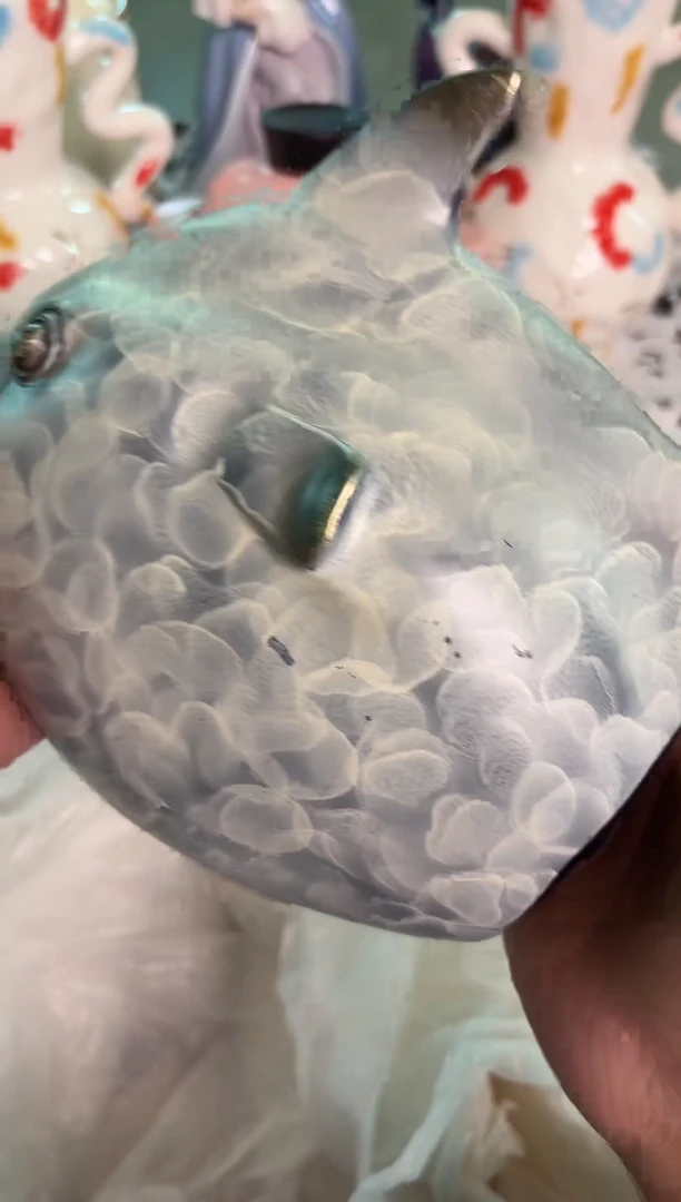 瓷片209默认微瑕15包邮库存1件