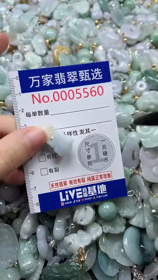 吊坠(不含链)未镶嵌翡翠5560