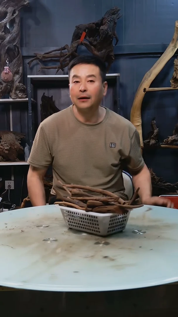 迷你枝条19.9清香阁清香阁清香阁