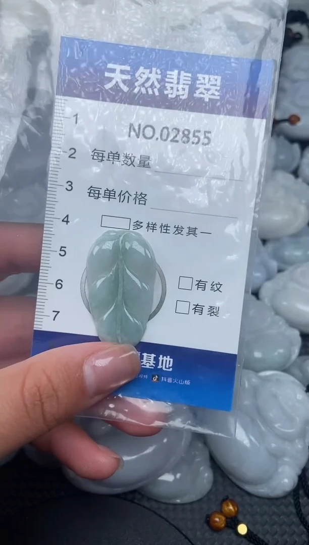 颈饰未镶嵌翡翠纯天然A货翡翠2855