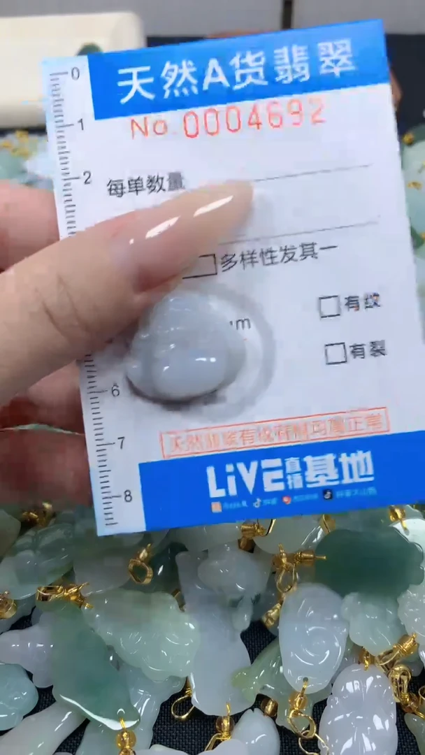 翡翠未镶嵌颈饰净货-4692
