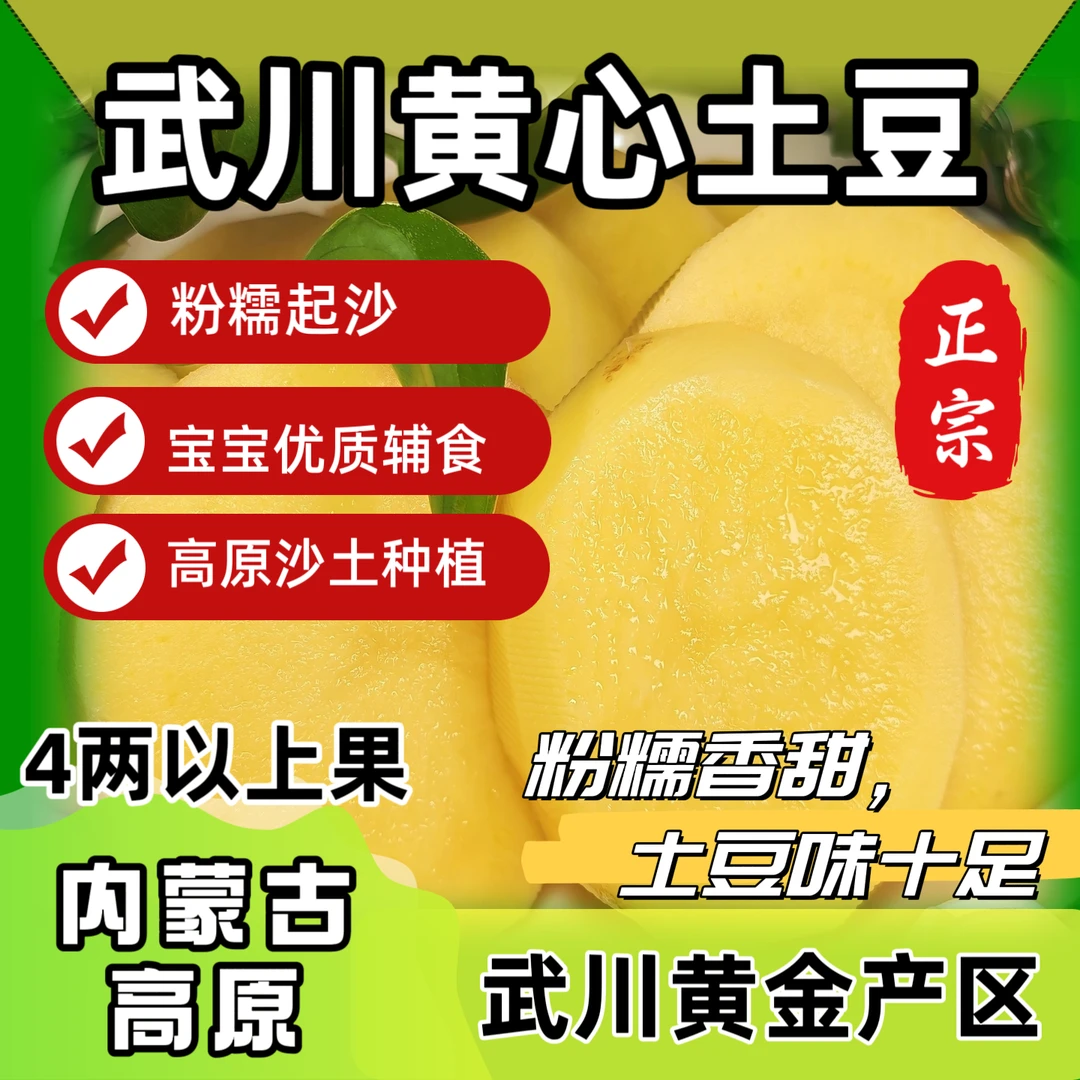 【正宗武川黄心土豆】内蒙古高原沙土种植现挖粉糯起沙--4两以上果