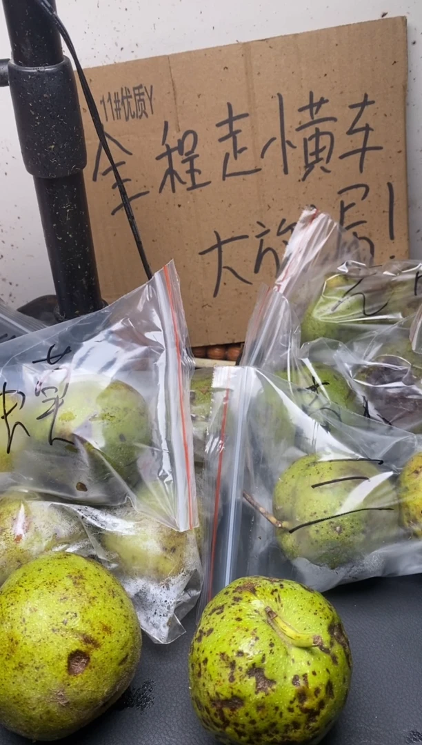 四座楼不退不换lyx01