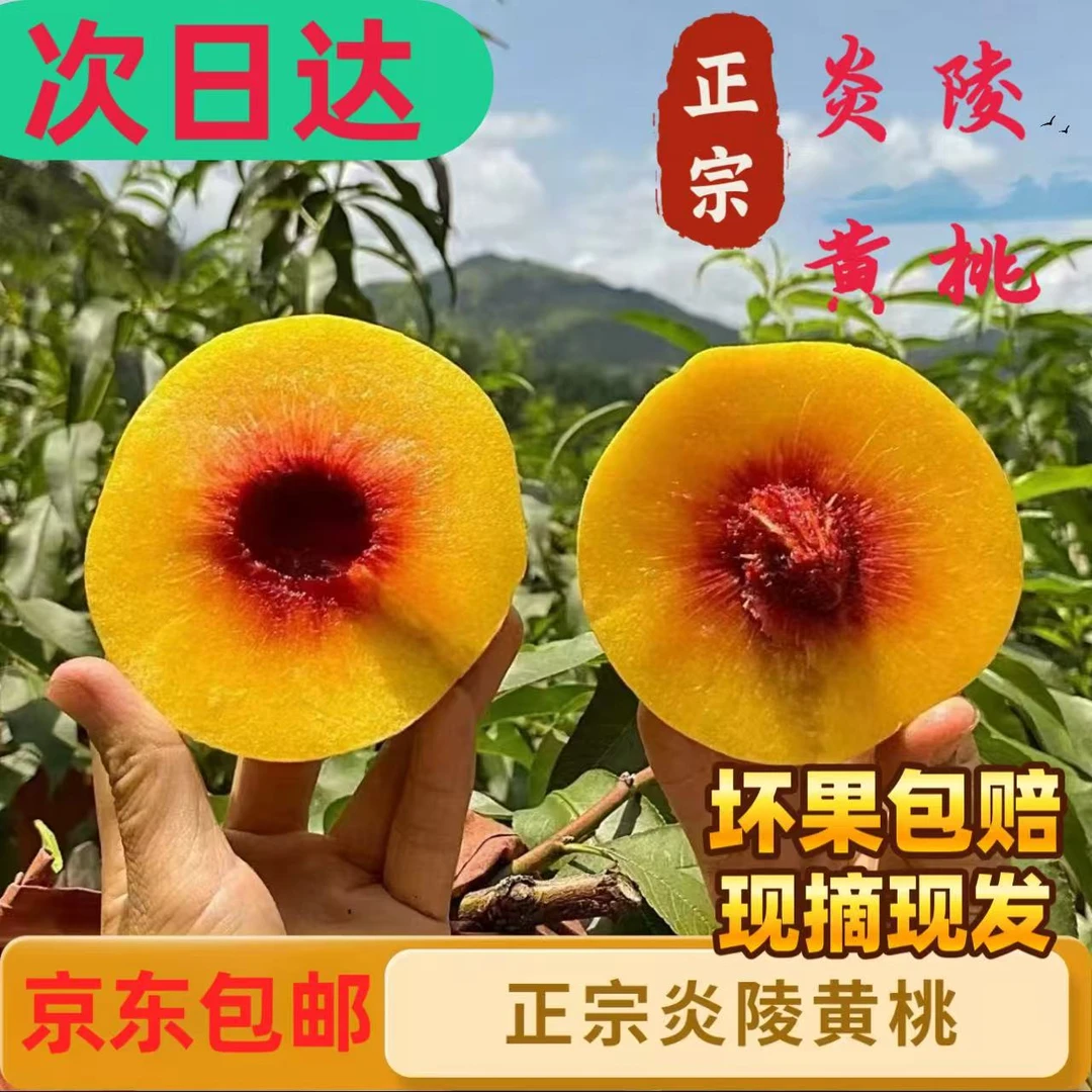湖南省炎陵红心黄肉孕妇水果当季鲜果新鲜毛桃多汁香甜锦绣大黄桃黄金黄桃软糯香甜桃子次日达包邮到家湖南省