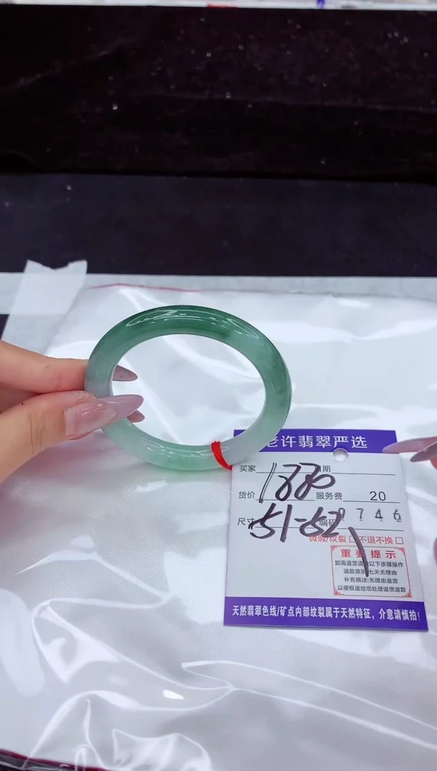 未镶嵌手镯翡翠1