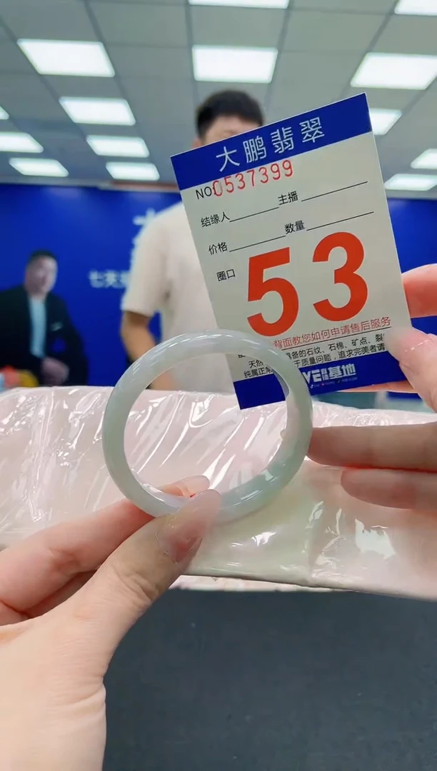 未镶嵌手镯翡翠AAAAAAAAA