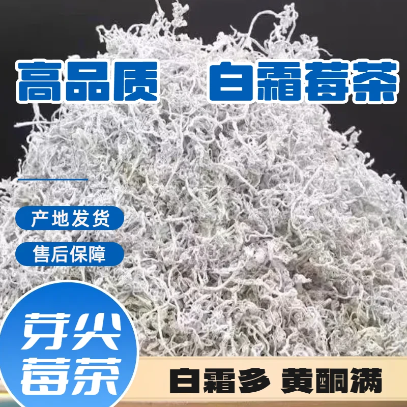 高山莓茶芽尖【没有干燥剂】白霜莓茶芽尖张家界【足称足量】【不宰称】