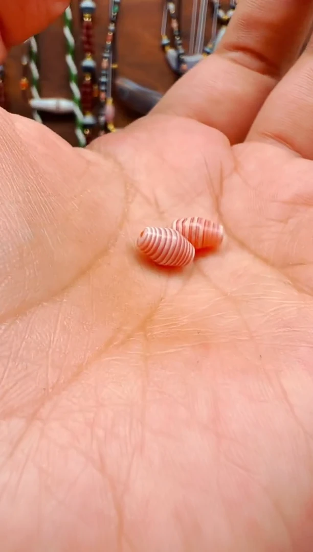 【肖钟出品】东南亚配珠随发2颗