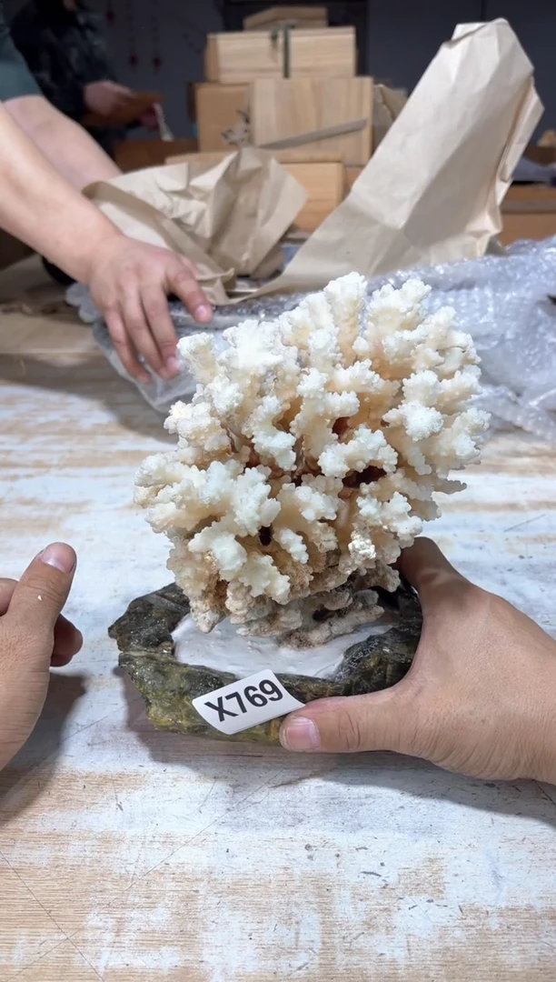 用****4直播定闪专用链接