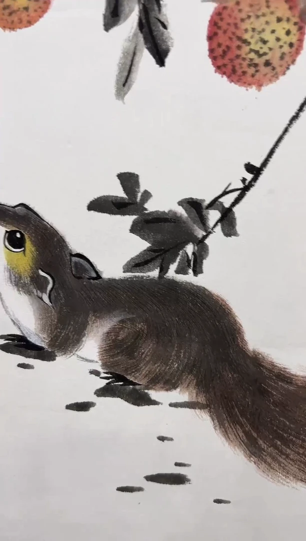 斌*哥崔老师松鼠