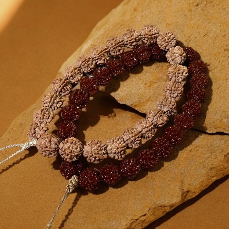 尼泊尔金刚菩提【剑齿龙】极小尺寸13mm