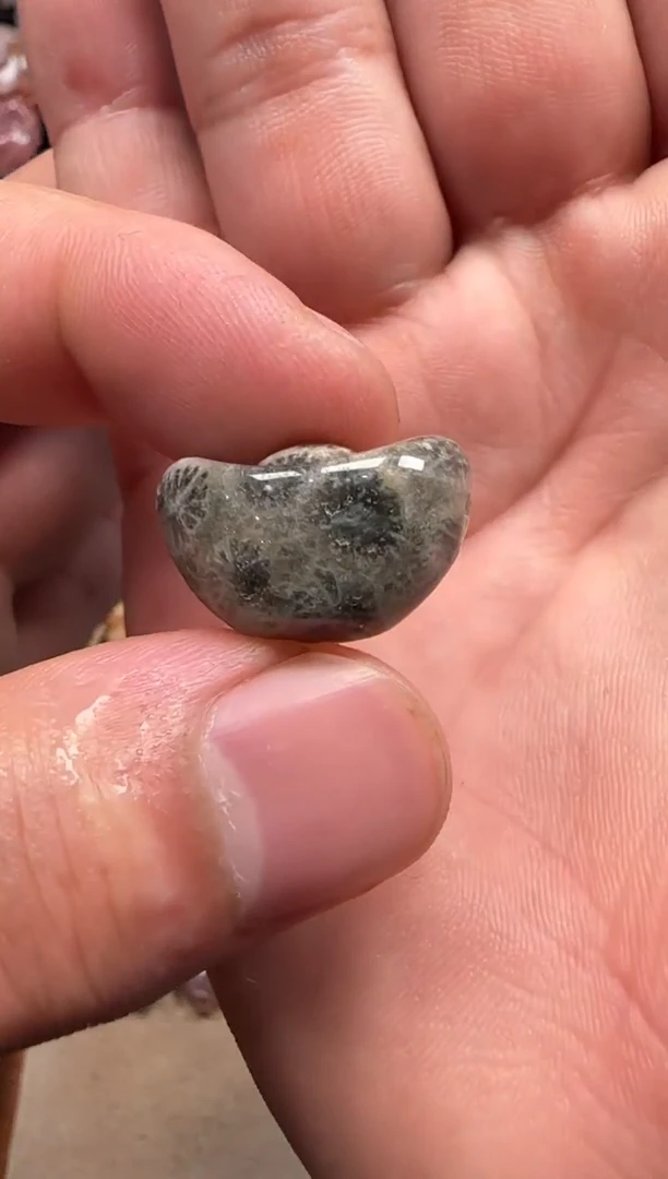 【闪购商品】硅化珊瑚（珊瑚玉）颈饰未镶嵌461