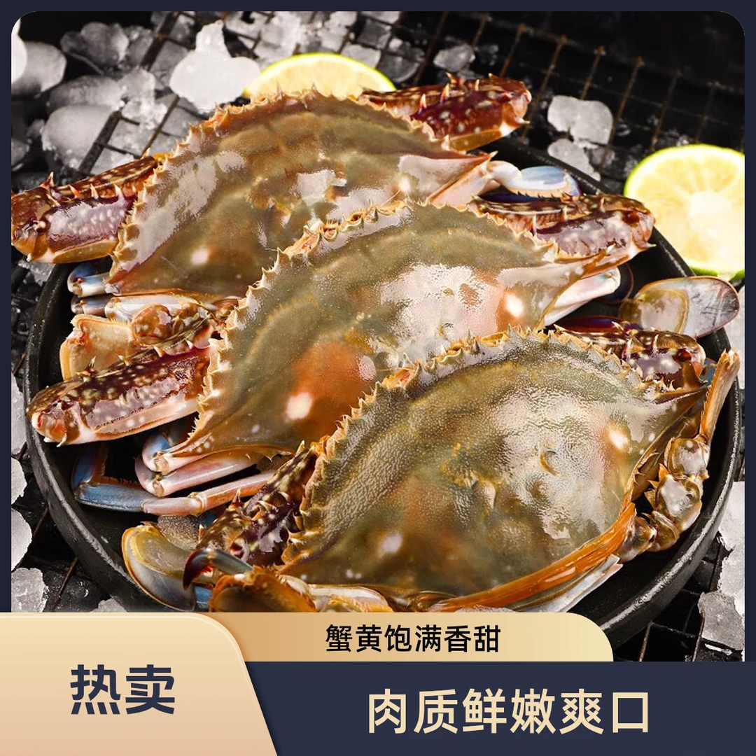 【买五只送五只】舟山野生流网梭子蟹精品肉母蟹约舟山顺丰冷链发货 约4两/只  净重4斤左右 到手10只【冻蟹】