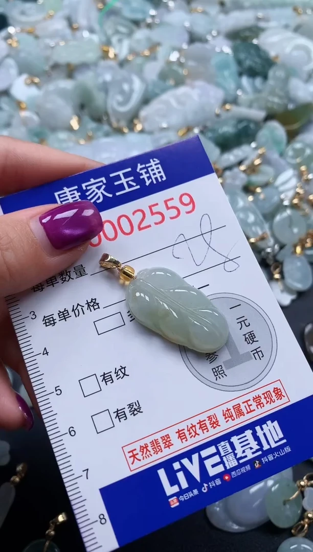 颈饰未镶嵌翡翠2559