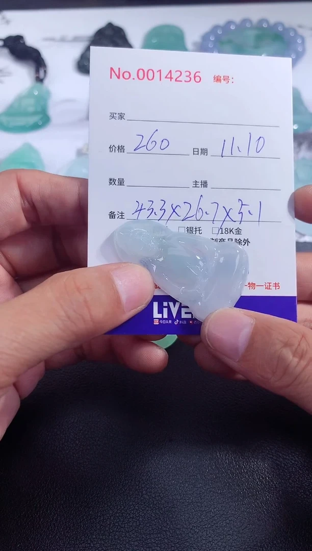 颈饰未镶嵌翡翠素衣