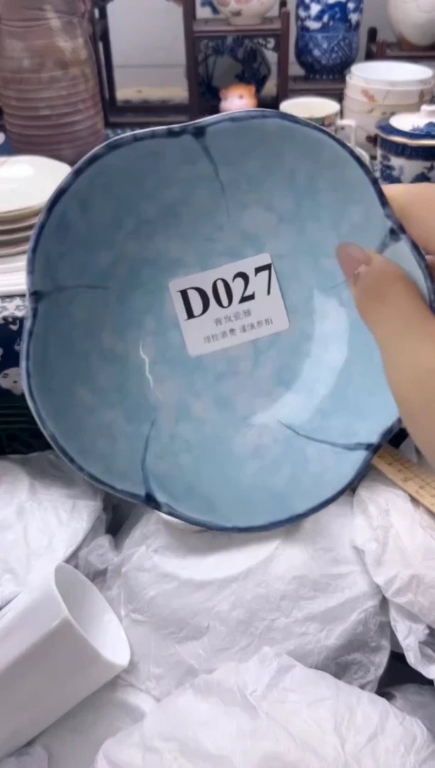 瓷片?****?    D027