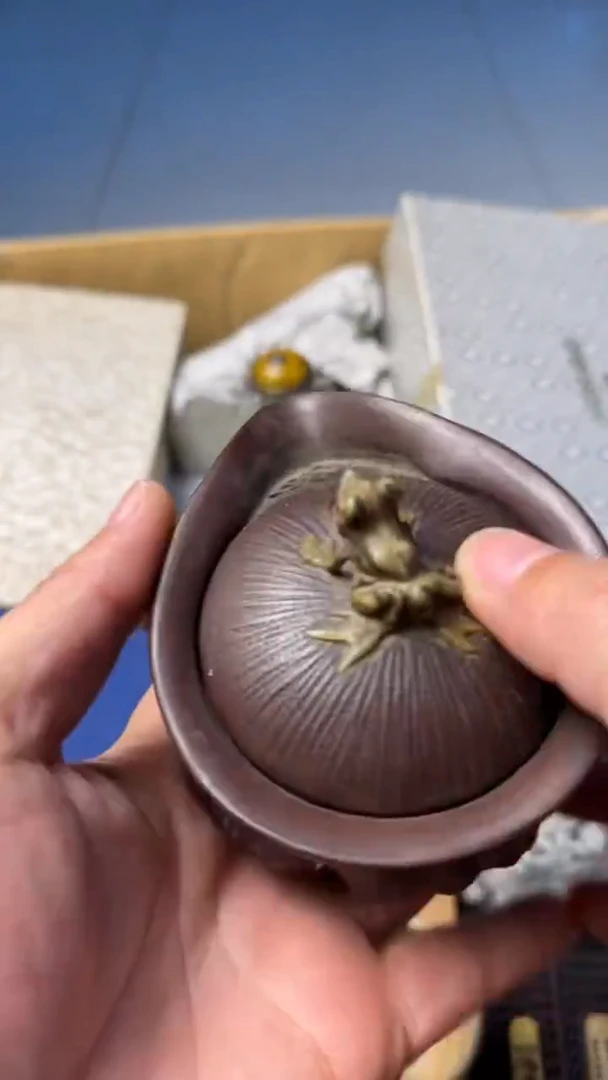 如图所示 所拍即所得