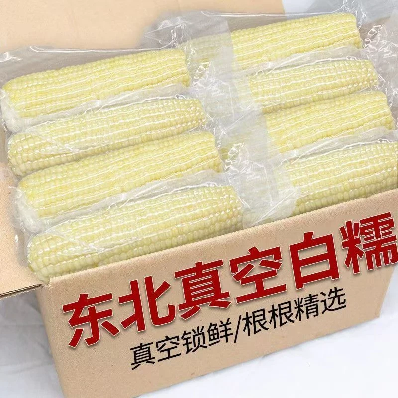 【试吃5根】东北特产白糯玉米甜糯真空包装黏甜代餐8斤15棒/260+