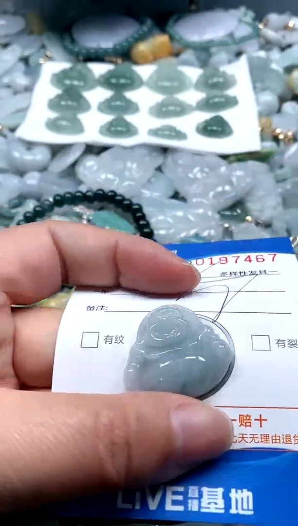 【闪购商品】翡翠颈饰未镶嵌闪购商品0197467