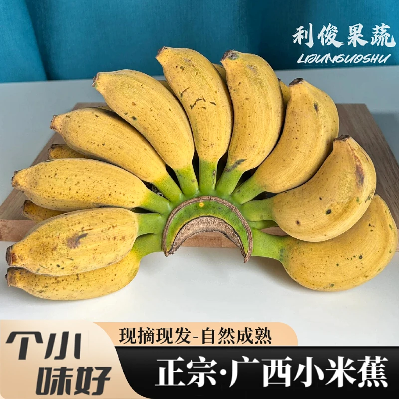 正宗广西小米蕉拇指香蕉鸡蕉自然熟酸甜小芭蕉新鲜水果整箱