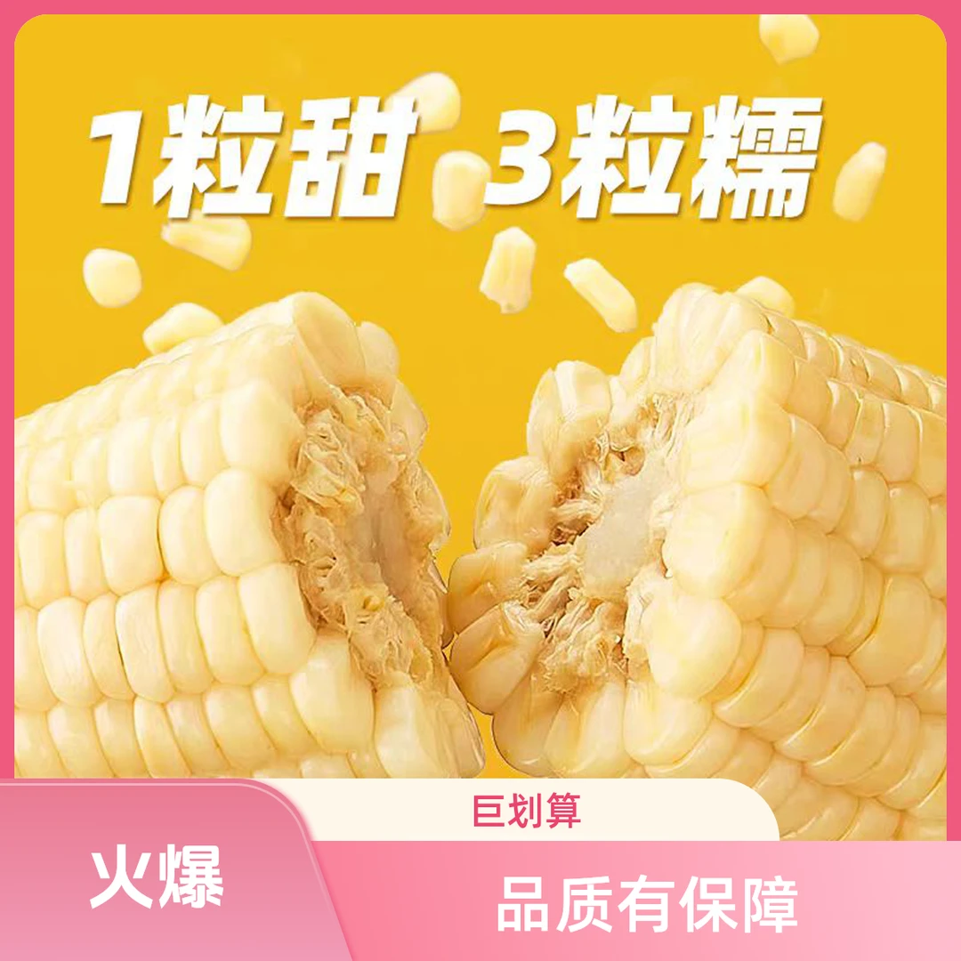 甜糯336 东北黑土地种植 非转基因 一甜三糯