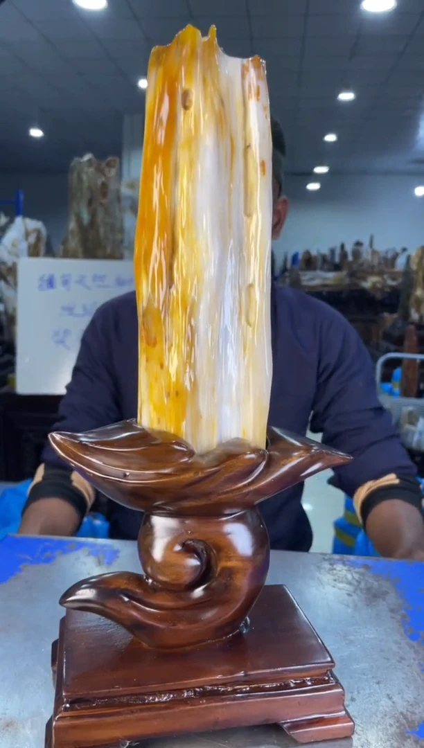 未镶嵌摆件硅化玉33