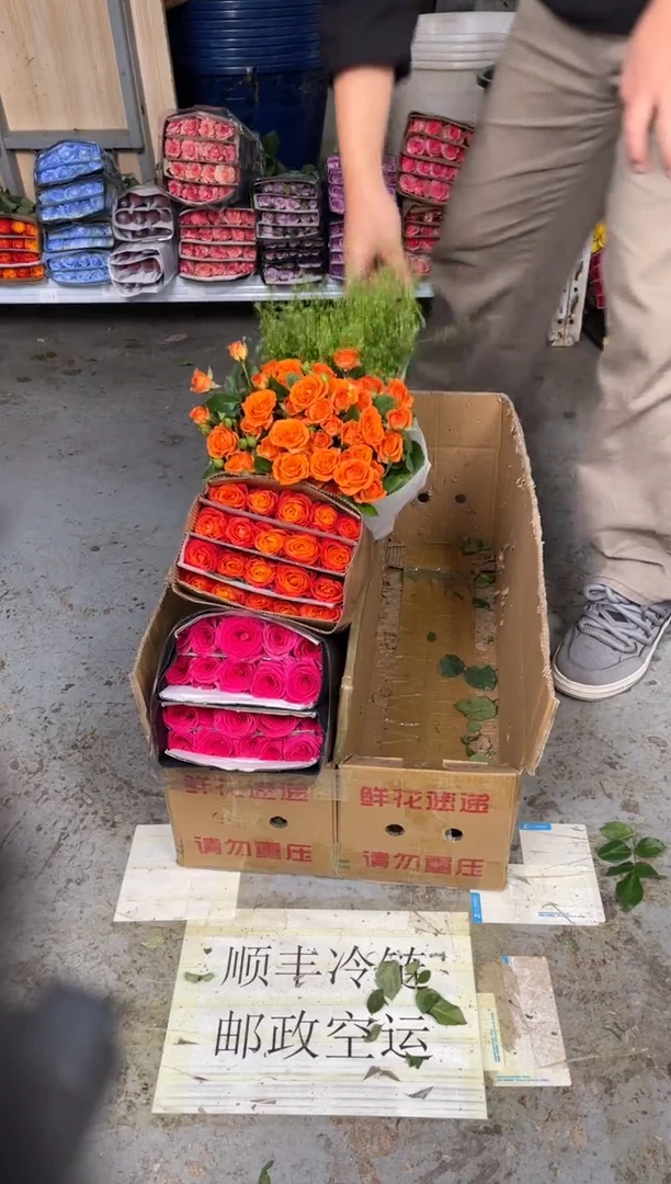 佛洛依德20枝+火焰之心20枝+橙芭比10枝+绿林草