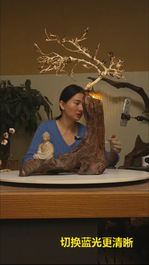 木朵*根雕摆件类655