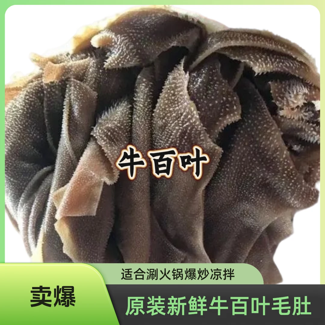 原装新鲜牛百叶毛肚涮火锅爆炒凉拌佳品顺丰包邮