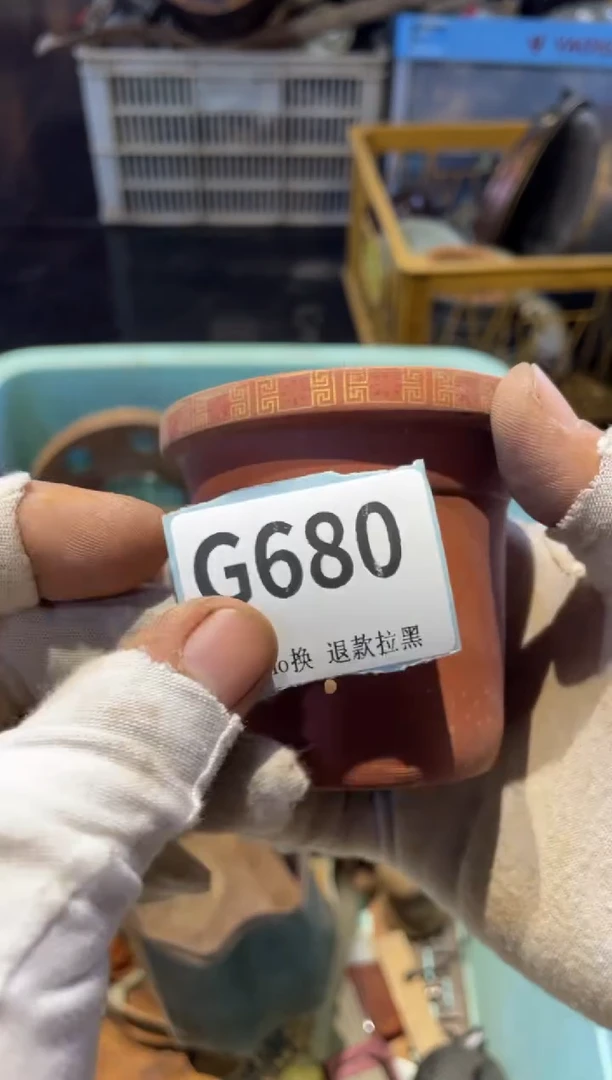 瓷片京*表弟链接直播火爆