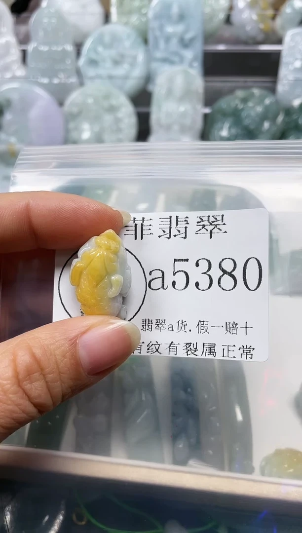 【闪购商品】翡翠颈饰未镶嵌闪购5380