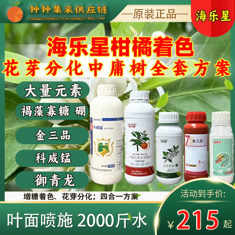 柑橘着色花芽分化全套方案