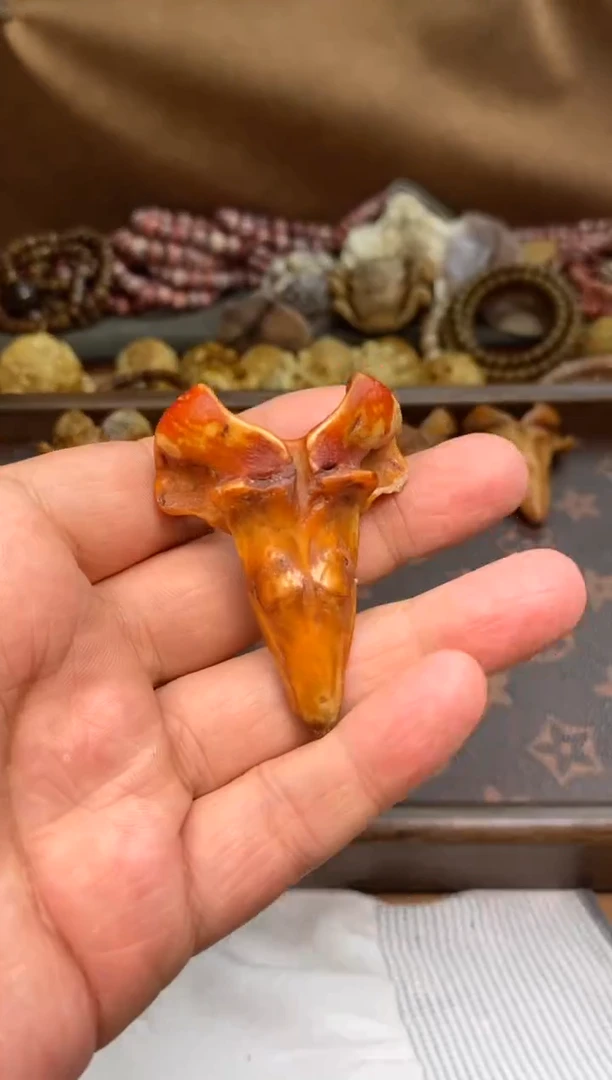 其他鹿骨杂件091-鹿枕骨吊坠