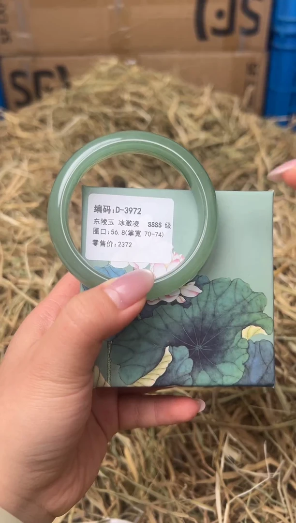 未镶嵌手镯石英质玉D-3972