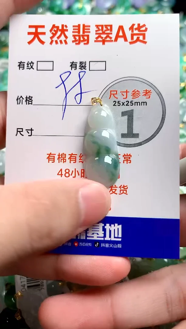 翡翠18K金镶嵌颈饰14004274