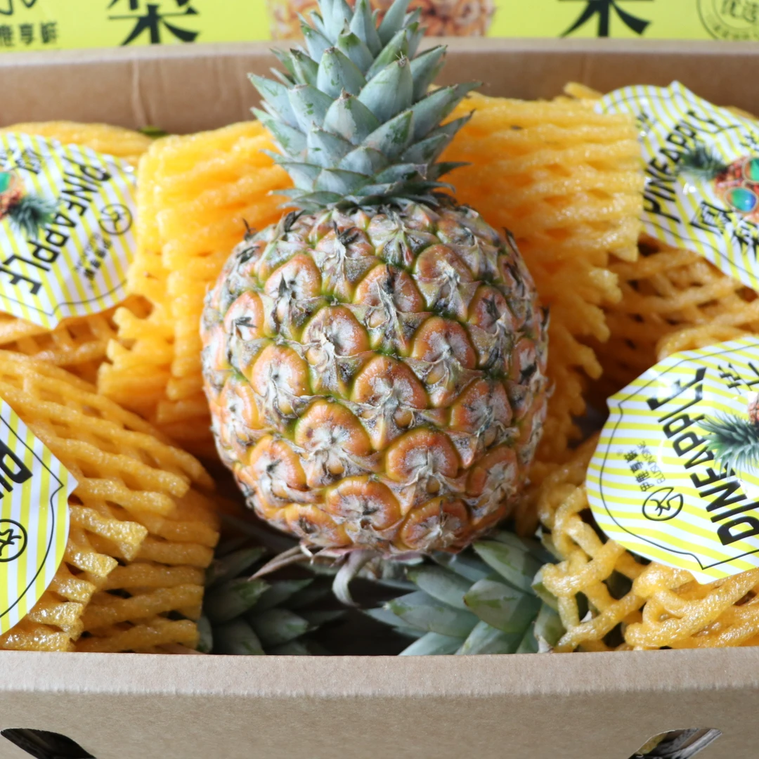 海南芒果凤梨一个（重约1000g）